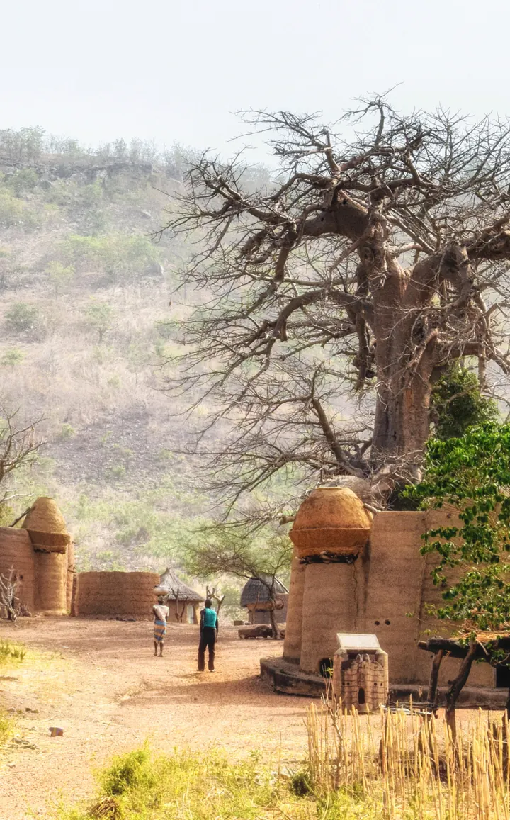 Un baobab dénudé domine un hameau de greniers en terre, en pleine saison sèche